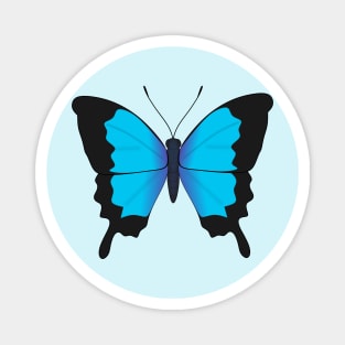 Ulysses butterfly Magnet